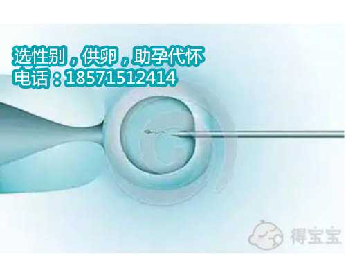 北京专业供卵公司,高龄产妇做试管婴儿要检查哪些