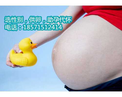 北京代生公司价格表,女性有不孕不育