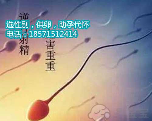 北京专业供卵试管中介,做试管婴儿常见的适用人群包括哪一些呢