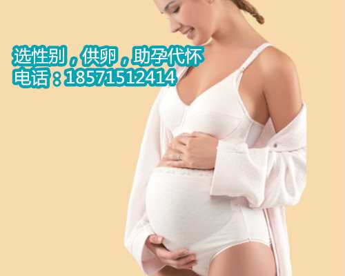 北京专业机构招聘捐卵多少钱,囊胚解冻后多久移植