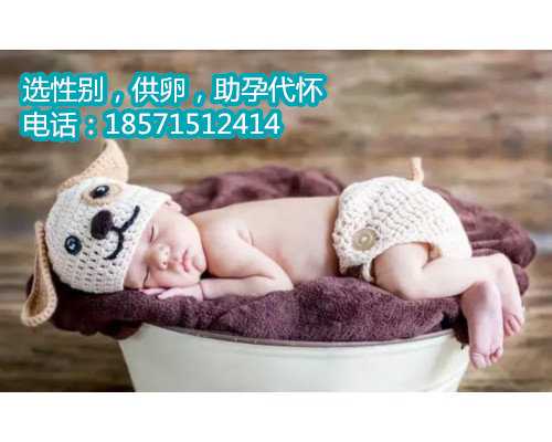 北京专业代孕,泰国试管婴儿周期内