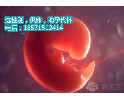 北京专业代怀保密咨询,北京海淀妇幼试管婴儿多少钱