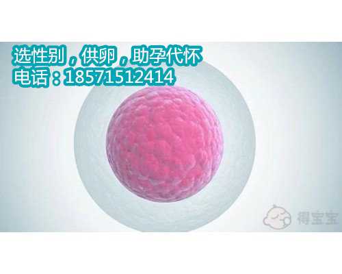 北京专业做代孕,促排卵针会使人变胖