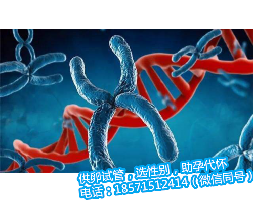 北京专业代怀孕哪家好,三代试管是移植囊胚吗