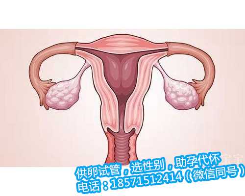 北京专业助孕专家,1个卵泡质量不好还长不大