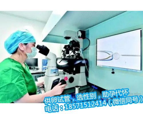 北京专业供卵试管公司电话,美国试管婴儿取卵数量多少,决定IVF成功率高低吗
