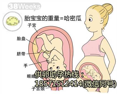 北京专业代生孩子服务,为什么要做孕前检查