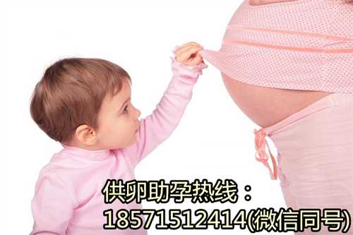 北京专业试管代孕,上海新生儿证件办理攻略