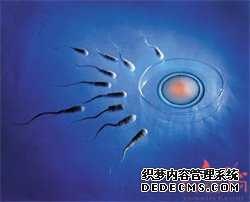 胚胎供卵试管协议-供卵试管代孕费用多少_供卵试管公司网站-包成功供卵试管多