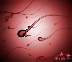 北京供卵代生孩子试管机构，北京大学深圳医院少弱精子症试管婴儿促排药费用