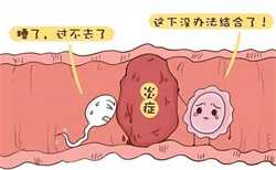 北京供卵中心靠谱吗，捐卵可信吗国内试管婴儿医院成功率排行榜
