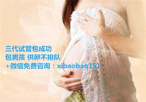 北京地下供卵中心，影响试管婴儿成功率的因素 移植几个胚胎最容易成功