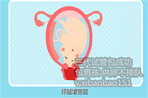 北京正规供卵试管咨询，有弱精症在铜仁市哪里能做试管婴儿，要花多少钱？