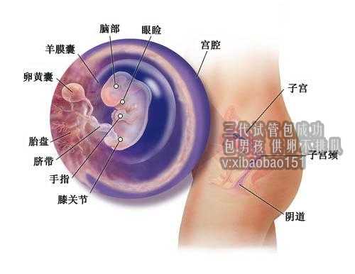 北京找人代生女孩，原因不明的不孕，也许是子宫内膜异位症