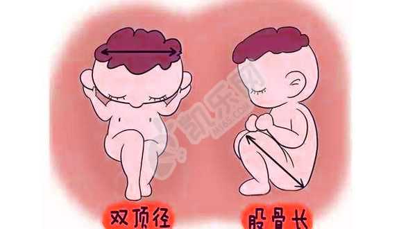 北京专业供卵试管联系电话,影响人工受精都有哪些因素
