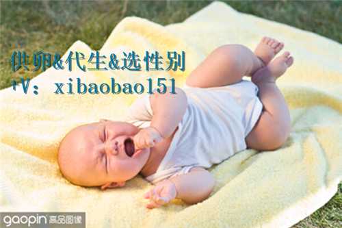 北京专业代孕套餐,多胎妊娠ppt