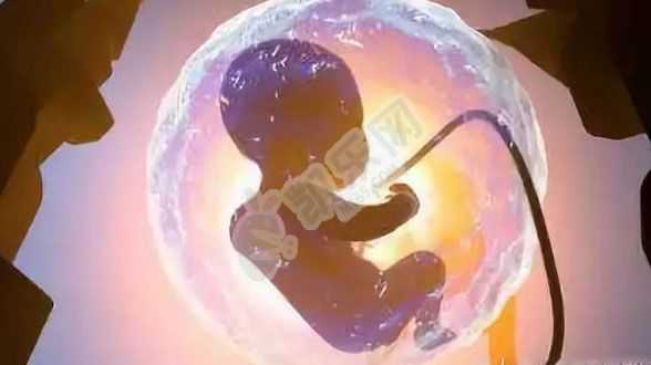 北京代生公司官网,美国试管婴儿：梦美助力您的生育梦想成为现实！