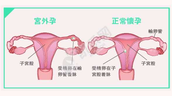 北京专业助孕技术,重庆不孕不育最专业的医院是哪家