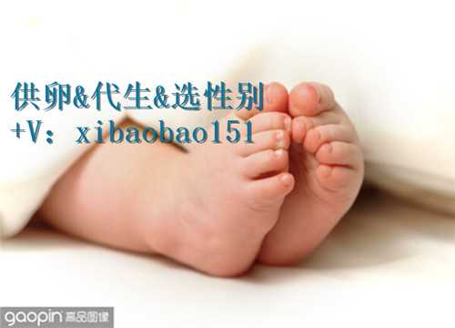 北京专业医疗代孕,备孕两年