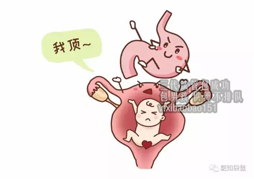 北京专业供卵电话,现在赴泰国试管婴儿需要怎样的手续